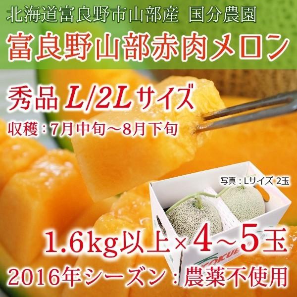 富良野山部・赤肉メロン 秀品 (品種：R113U) 北海道富良野市山部産 L