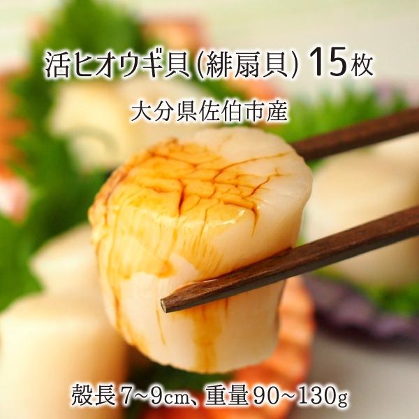 活 ヒオウギ貝 15枚 殻長：7〜9cm 重量：90〜130g 大分県佐伯市蒲江産