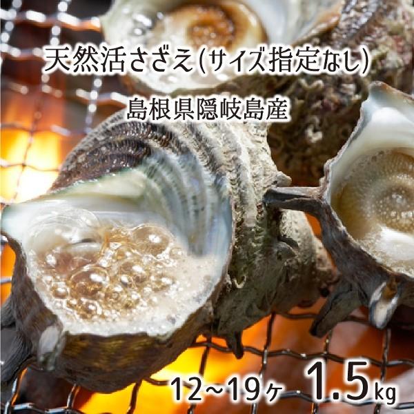 天然 活 隠岐サザエ 指定なし(M/L) 1.5kg 12〜19個 島根県隠岐の島産