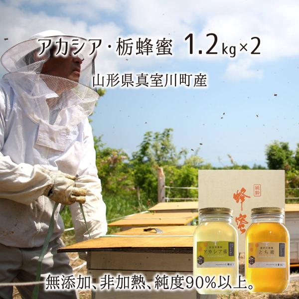アカシア・とち蜂蜜 2種ギフト(糖度80以上、純度90以上) 無添加 非加熱 全原材料国産 天然 純粋蜂蜜 山形県真室川町産 2022年採蜜 1.2kg×2本 送料無料