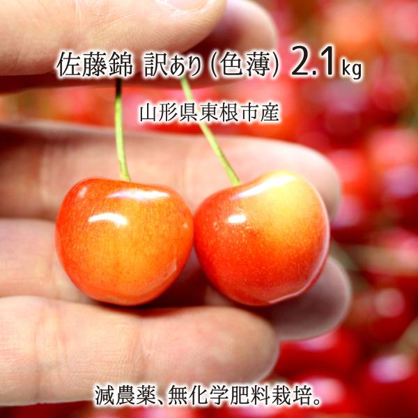 佐藤錦 訳あり 色ムラ 色薄 3kg 特別栽培 さくらんぼ 山形県東根産 減農薬 無化学肥料栽培 6月中旬 6月下旬 朝採り当日発送 送料無料 Ygtk143 産直 むすび 通販 Yahoo ショッピング