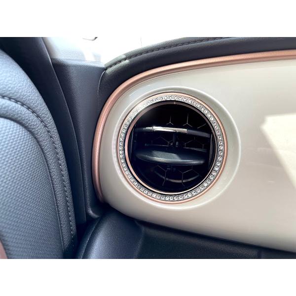 XYL SR SMILE X}C R3.9` p &lt;br&gt;GA[xgO X NX^ 2pcs