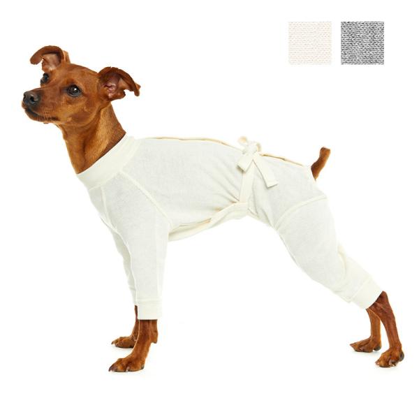 犬 服 ケアウェア(肌着) ミニチュアピンシャータイプ フルスーツ （犬