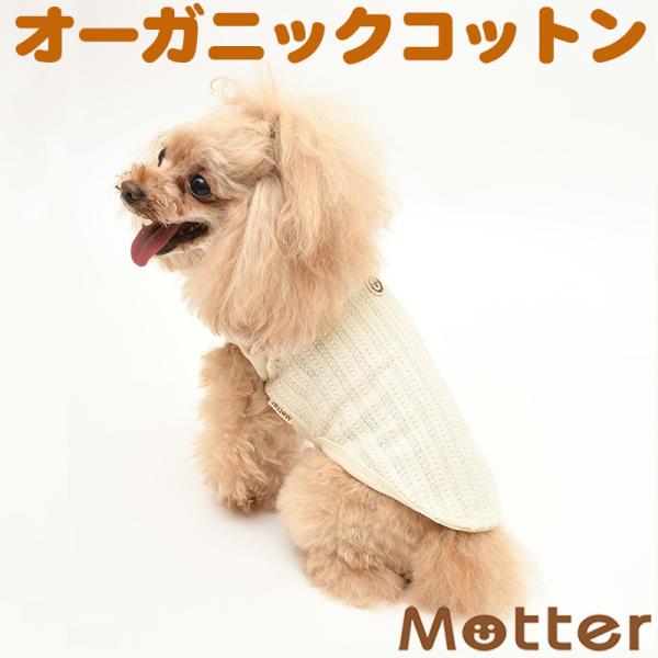 犬服 中型犬 服 レーシーニットノースリーブ/4-6号 春 夏