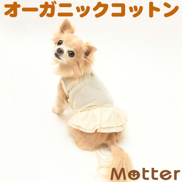 犬服 小型犬 服 ラッセルメッシュワンピース/1-3号 春 夏