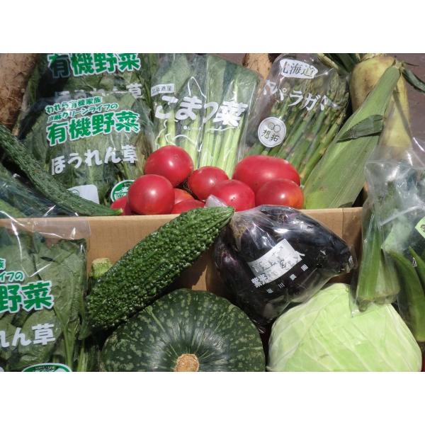 ・むつみ屋の野菜は全て有機野菜、無農薬野菜、減農薬野菜、特別栽培野菜です。・たまねぎ1.5kg じゃがいも600g にんじん400g を基本にして旬の野菜7〜9品をバランス良く加えます。・季節の旬の野菜をお届けします。(写真は全てイメージで...