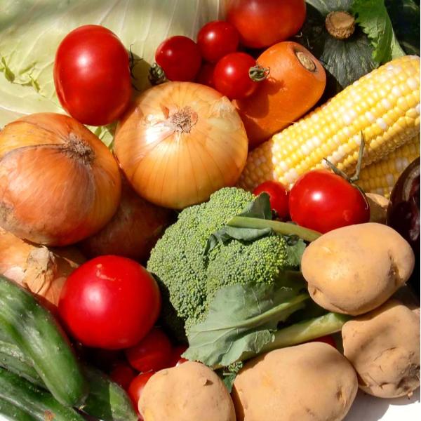 むつみ屋 旬の有機野菜セット13品 : むつみ屋WEBショップ - 通販