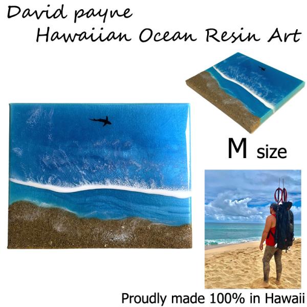 トイレ ハワイアン インテリア雑貨の人気商品 通販 価格比較 価格 Com