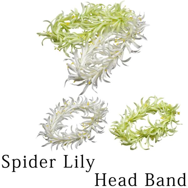 t_X wbhoh C|[ XpC_[B C|I  