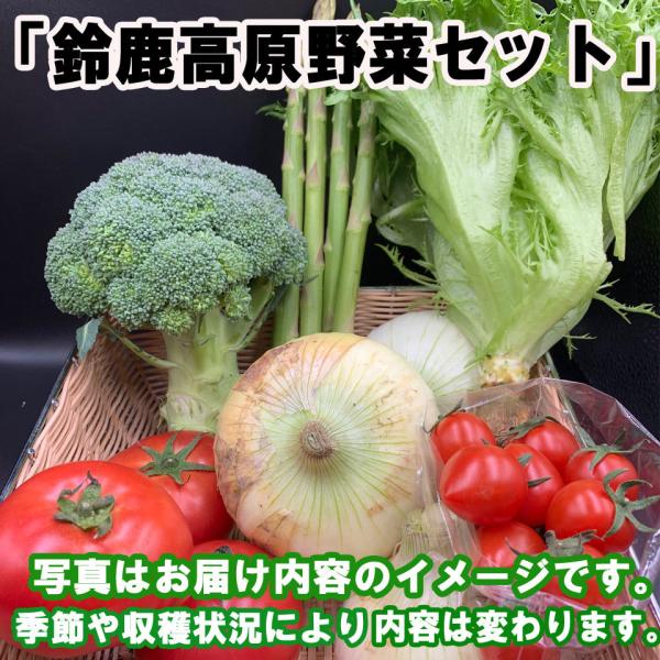 mvtokai-yho_da001_1_d_20241231171916