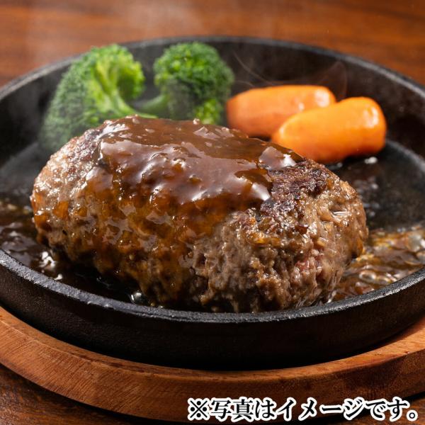 ☆2/15 23:59までポイント5倍☆【静岡浜松】ジューシーくんハンバーグ