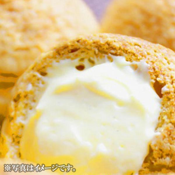 【住吉屋】とろける・デ・シュー10個入  実店舗売上NO.1のとろけるクリームがたっぷり。      【商品内容】●とろける・デ・シュー10個入り1個約80ｇ、直径約8cm●賞味期限：製造日を含め冷凍10日間、冷蔵解凍後1日●原材料：生クリ...