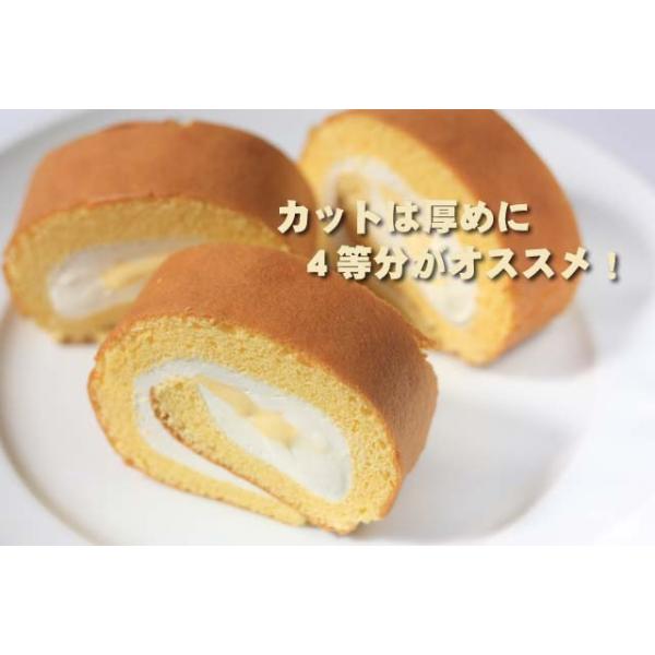 mvtokai-yho_sum027_1_d_20241231171925
