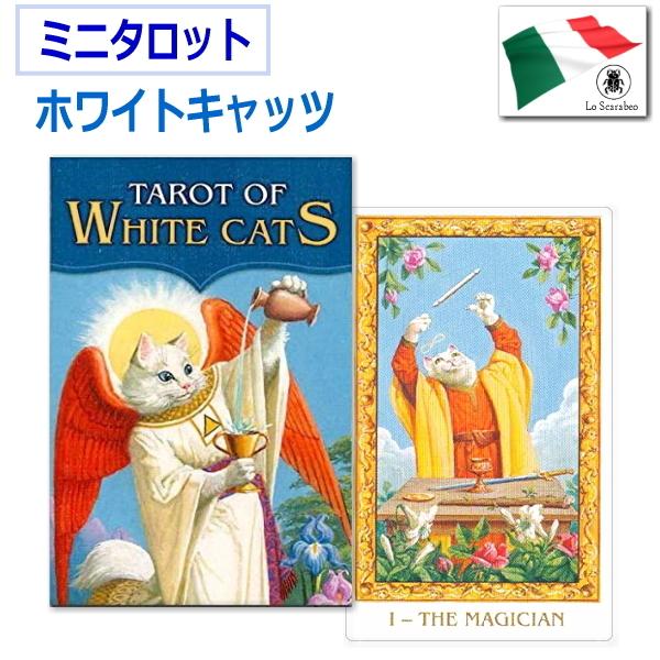 新品　白黒　子猫　タロット　海外お取り寄せ　全78枚　手のひらサイズ 新品 白黒 子猫 タロット 海外お取り寄せ 全78枚 手のひらサイズ