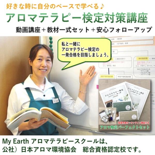 早割 11月22日まで オンライン講座 アロマテラピー検定対策講座 テキスト資材一式付き Aeaj認定校 Ar Ak S015 ヒーリング雑貨の専門店 My Earth 通販 Yahoo ショッピング
