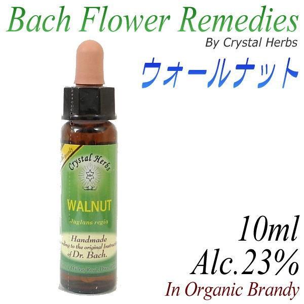 バッチフラワーレメディ　ブランデー バッチフラワーレメディ ブランデー