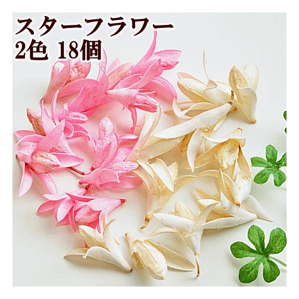 訳あり ドライフラワー スターフラワー 2色18個 □ ハンドメイド 手芸 