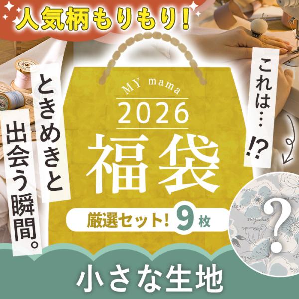 ＼可愛さ主役級／2026年 MYmama 福袋生地#ゆうパケ 1点可2025年の感謝の気持ちを込めて、開封したときに喜んでいただけますように…大好評のアソートセット福袋が今年も登場！生地のサイズは4種類。MYmama別注生地や人気のリバティ...