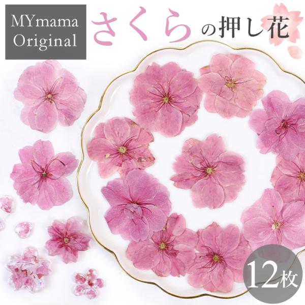 my-mama_5616