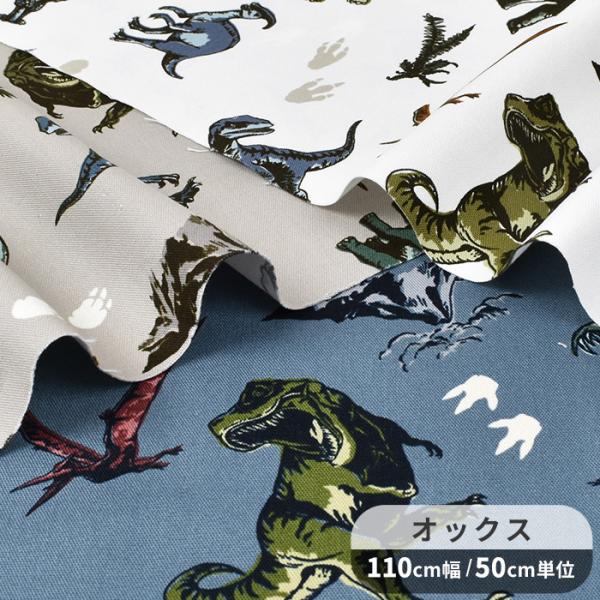 糸の太陽たち   /ビブロス/パウル・ツェラ-ン（単行本） Amazon.co.jp: 恐竜トリケラトプスとアロサウルス: 再びジュラ紀