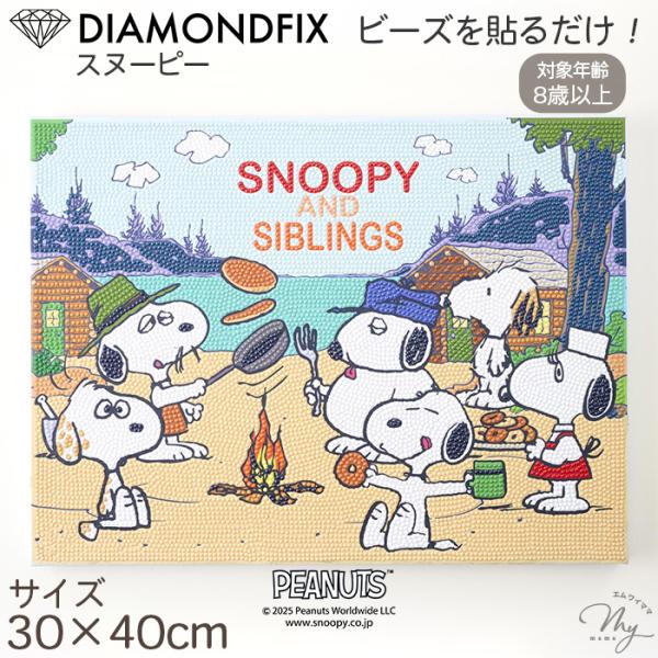 【美品】スヌーピー　アート絵　SNOOPY　~同じ夢見ようね~ 美品】スヌーピー アート絵 SNOOPY ~同じ夢見ようね~ net