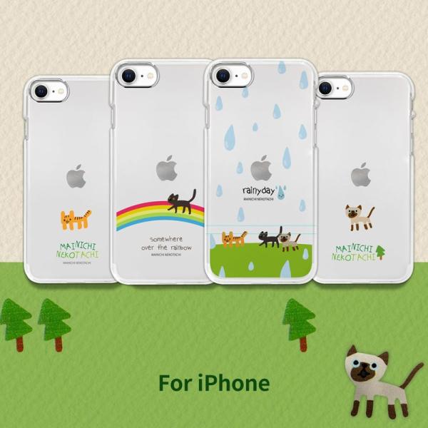 iPhone SE (3 / 2022N) P[X Jo[ AKAN \tgNAP[X MAINICHI NEKOTACHI  [iPhone SE2/8/7]