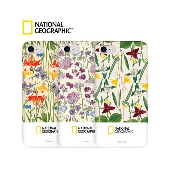 y󂠂 AEgbgziPhone 8 / 7 P[X National Geographic Flower Frame Style Case Slim Fit(iVi WIOtBbN t[t[