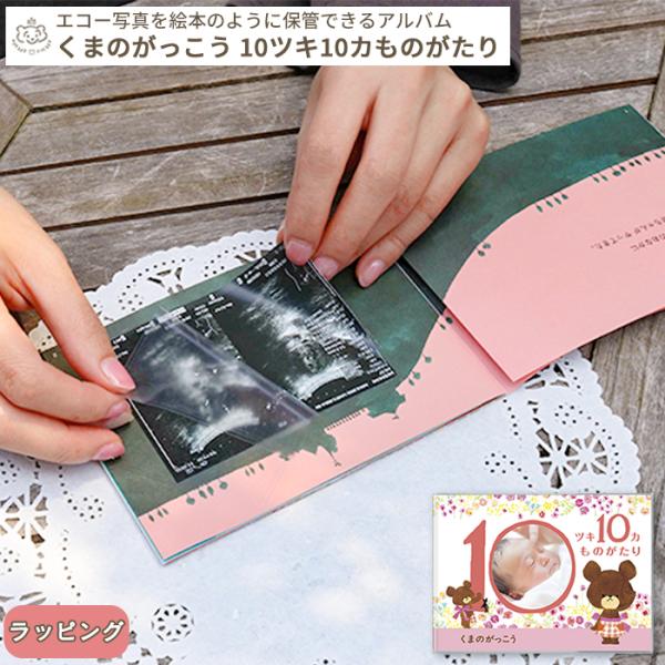 くまのがっこう エコー写真が収納できるアルバム 「10ツキ10カものがたり」(ギフト対象）