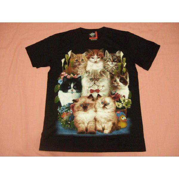 横浜最新 可愛い8匹の猫ちゃん♪魅惑のTシャツ M 送料無料syo14