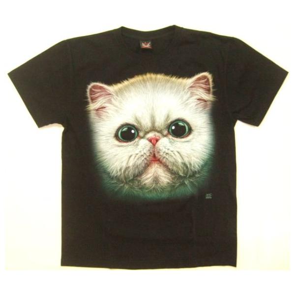 横浜最新 可愛い ぶさかわドアップ猫ちゃん♪魅惑のＴシャツ  M, L 送料無料syo27