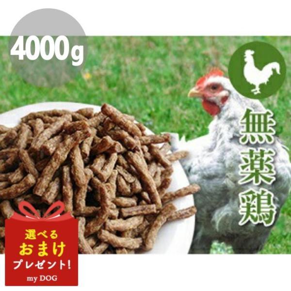 プライムケイズ　嵐山善兵衛　長寿一番　鶏　4000g