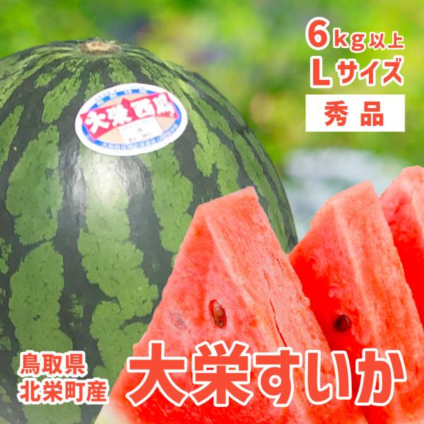 すいか　秀L 大栄　2玉 鳥取県産 大栄西瓜 L・2玉（約12kg）: 全農とっとり JAタウン店