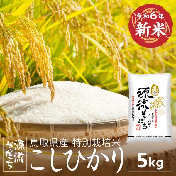 令和6年産 新米 特別栽培米 源流そだち コシヒカリ 鳥取県 智頭 令和6年産 新米 特別栽培米 源流そだち コシヒカリ 鳥取県 智頭