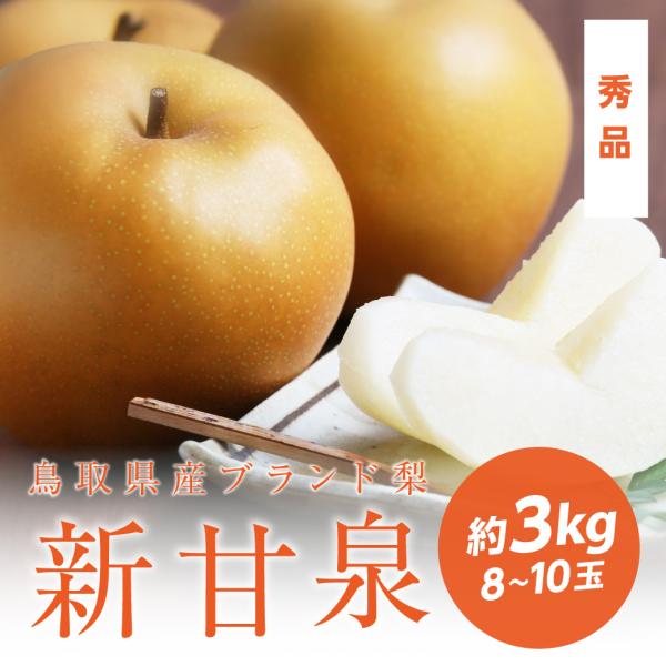 ことばずかんPremium & ものしりずかん 大集合セット　　新品　未開封 楽天市場】二十世紀梨＆新甘泉2kg詰合せ（6玉入り） 鳥取県産