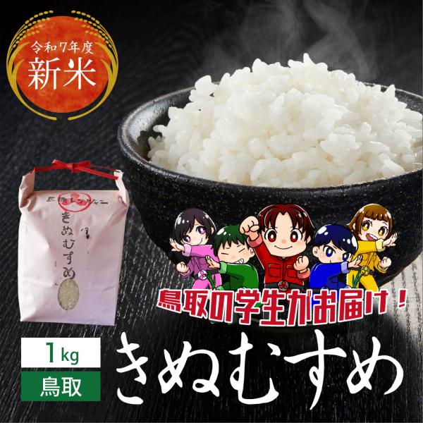 きぬむすめ 新米 令和7年産 鳥取県産 1kg 米 お米 白米 R7 三徳 