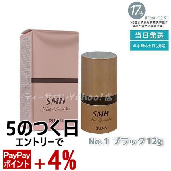スーパーミリオンヘアー ルアン SMH ヘアファンデーション 12g No.1