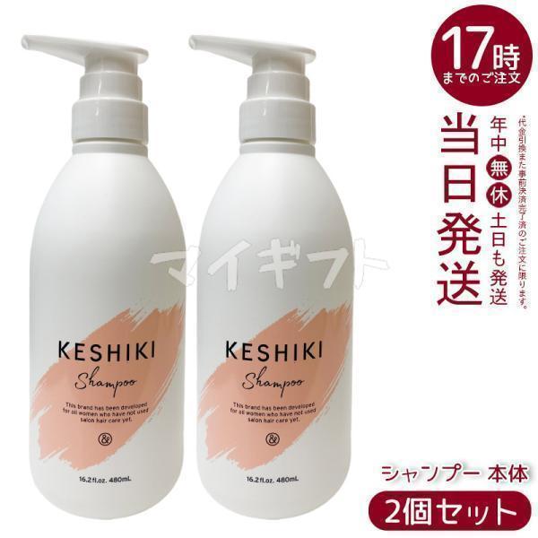 KESHIKI ケシキ シャンプー 480ml 2個セット ダメージ 補修 保湿
