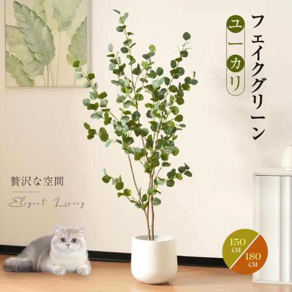 myhome-jp_n512p232185