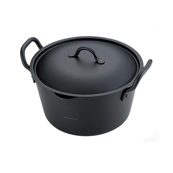 Ղ[^gWt(IHΉj 20cm 4521540252118 SALUS@Lb` g S Ȃ