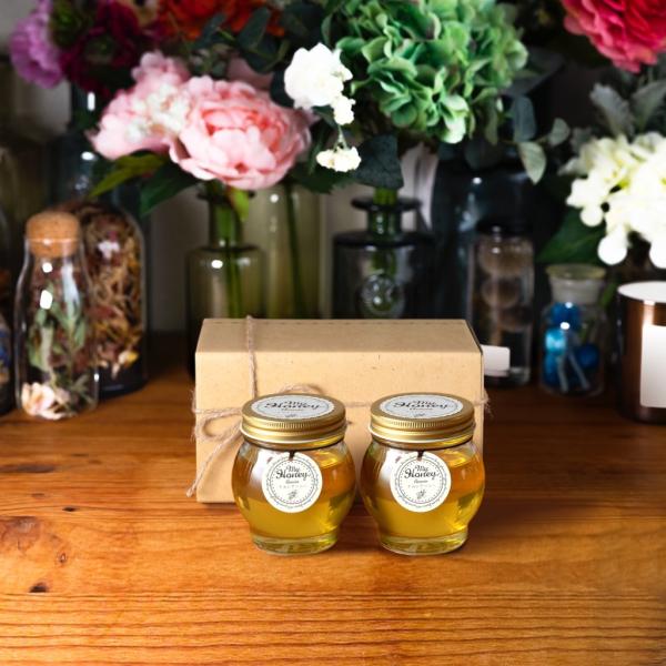 yMYHONEYz}Cnj[ AJVAnj[L(200g)×2/i`Ntg{bNX(M)+R{ y3cƓz