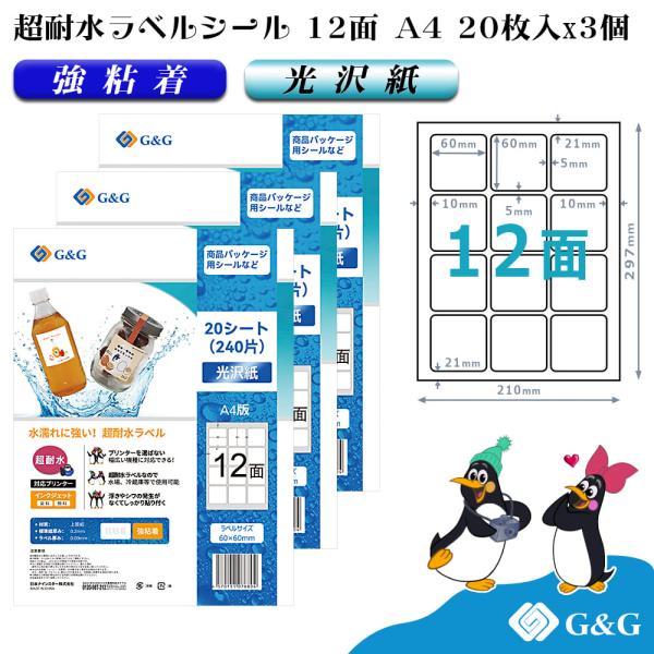 G&G ラベルシール 超耐水 光沢紙 A4 60枚 12面 (正方形) 幅60mm 高さ