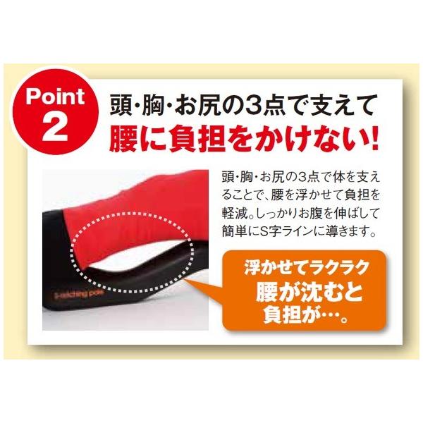 くびれ ストレッチ エスレッチングポール 兼子ただし 完全プロデュース ポイント10倍 送料無料 Buyee Buyee Japanese Proxy Service Buy From Japan Bot Online