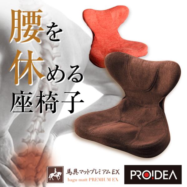 馬具マットプレミアムEX 姿勢 腰痛 肩甲骨 骨盤矯正 美バランス