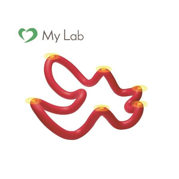 首 矯正グッズの人気商品 通販 価格比較 価格 Com