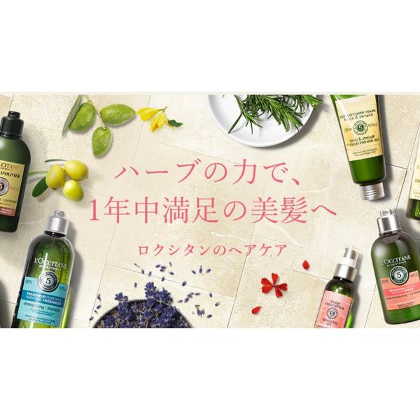 ロクシタン ファイブハーブス リペアリング シャンプー コンディショナー ポンプボトル 500ml Www Fakfakkab Go Id