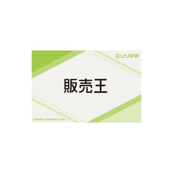 インボイス制度対応の販売管理ソフト。年間サポート付。請求書の発行から売掛管理、売上分析まで行える、販売管理に特化したソフトです。在庫を持たない業種の方にオススメです。