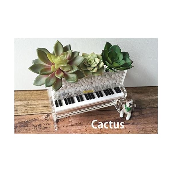 Momiji Music ピアノボックス 透明 透明 メガネ 老眼鏡 ピアノボックス アクリル製 ハンドメイド 収納 小物入れ プレゼント ギフト お祝い 母の日 20191206234825 00394 妙美ヤフー店