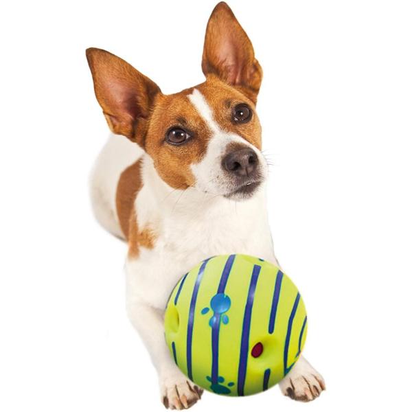 Allstarinnovations 犬用おもちゃ 音が鳴るボール ギグルボール M サイズ 妙美ヤフー店 通販 Yahoo ショッピング