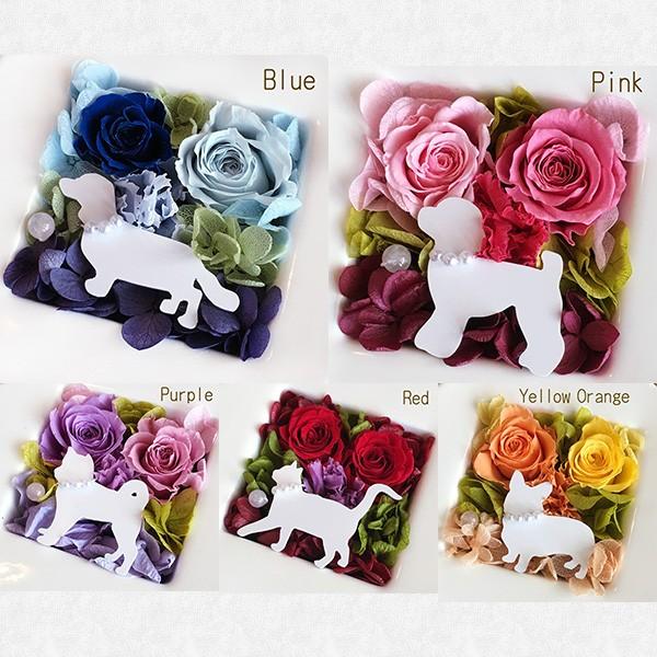 アニマルフレーム プリザーブドフラワー 母の日 犬 ねこ うさぎ 人気 母の日 メモリアル 誕生日 プレゼント お供え ペット お悔やみ 母の日ギフト Buyee Buyee Japanese Proxy Service Buy From Japan Bot Online