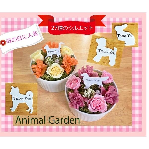 Animal Garden